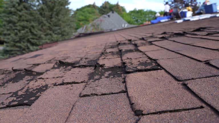 Best Wood Shake Roofing  in Iola, KS